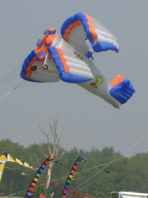 Drachenfest Bergeijk 2009 081.jpg